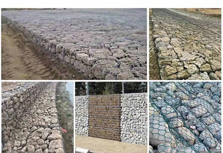 1746924925110634.jpg 2.22.jpg