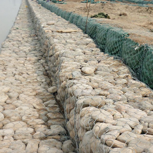 Gabion Basket Vegetation Integration: Green Infrastructure and Plant Growth Support